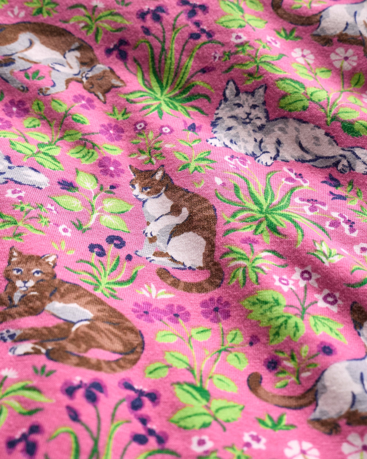 Must Love Cats - Organic Pima Modal Knit Long PJ Set - Pink Camellia